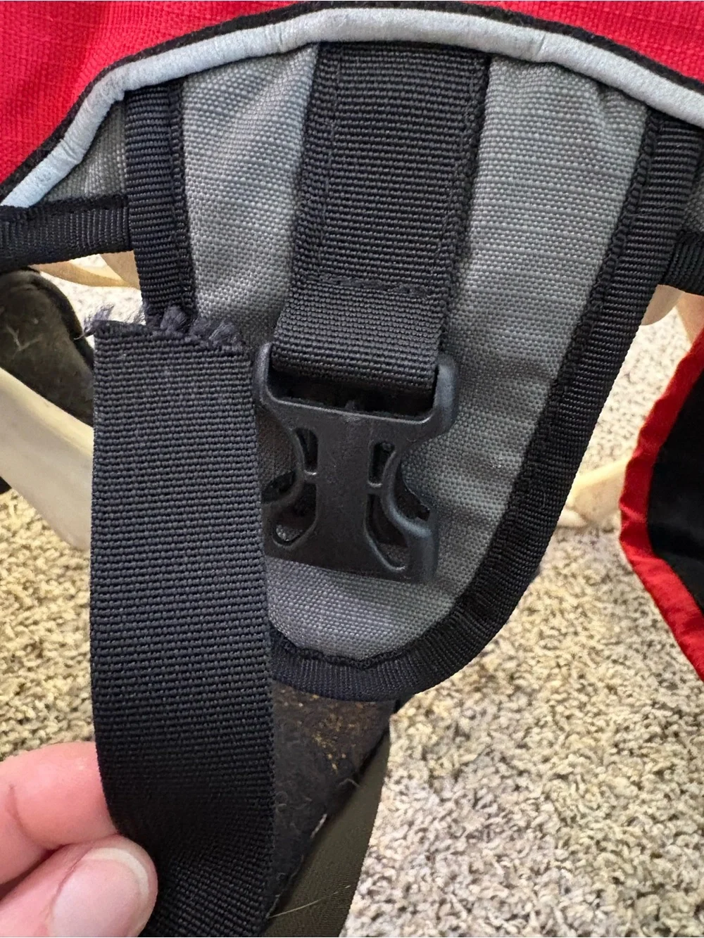 Ruffwear 5-point Webmaster Dog Harness with handle